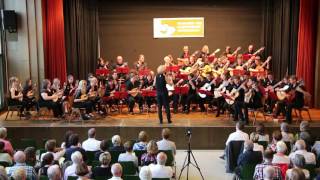 Persischer Marsch  Johann Strauß  Arr Alexander KönigOssadtschi [upl. by Holsworth991]