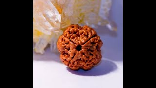 Benefits of Rudraksha Mala [upl. by Erwin]