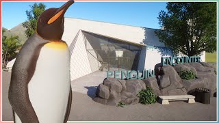 King Penguin Encounter  Planet Zoo Aquatic Pack Speed Build [upl. by Lladnarc737]