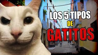 ¿Por qué ronronean😻 Los GATOS 2001 PARTE 86 😼 Top 5 [upl. by Loree]