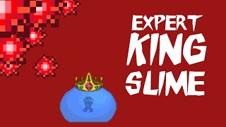 How To Cheese Expert Terraria Bosses Ep 1 KING SLIME [upl. by Nevaed529]