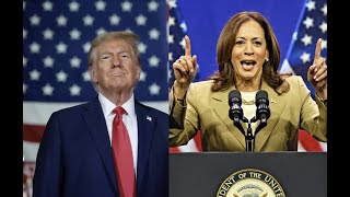 Noticiero 5pm ¿Qué dicen las últimas encuestas Harris vs Trump [upl. by Yhtac413]