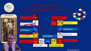 Desbloqueie o Poder Total da ONDA DA SERPENTE MAGNÉTICA com essa leitura PSICOLÓGICA KIN A KIN [upl. by Kreindler135]