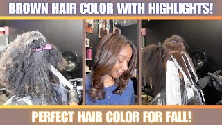 EASY Brown Hair Color and HIGHLIGHTS  2024 Fall Hair Color Trend [upl. by Fran]