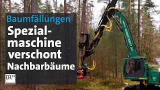 StehendEntnahmeHarvester Spezialmaschine fällt Bäume im Nürnberger Reichswald  BR24 [upl. by Iamhaj]