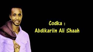 AbdiKariin Cali Shaah Hees Shidan  Afar Dhaan  Lyrics [upl. by Alletsyrc]