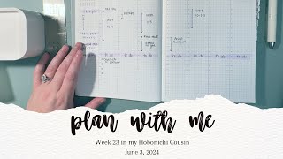 PLAN WITH ME  June 3  9 in my Hobonichi Cousin [upl. by Aicilak]