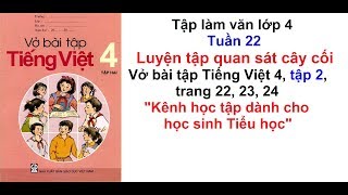 Tập làm văn lớp 4  Tuần 22  Vở bài tập tiếng việt 4 trang 22 23 24 [upl. by Willyt698]