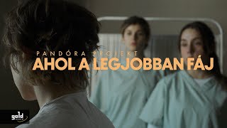 Pandóra Projekt  ahol a legjobban fáj  Official Music Video [upl. by Annwahs]