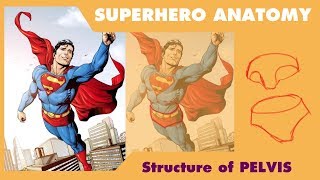 Superhero anatomy 03 structure of pelvis with Superman [upl. by Ayisan671]