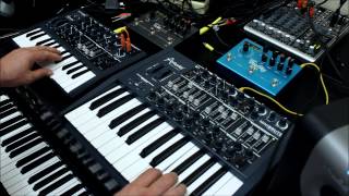 Magnetic Fields 4 Melody Played on Arturia MiniBrute and MicroBrute Synthesizers [upl. by Stich]