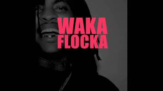 Waka Flocka Flame  Ballin Out Directed by Court Dunn [upl. by Solracnauj]