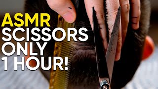 ASMR BARBER 💈 Scissors Only  1 Hour No Talking Part 1 [upl. by Ataga]