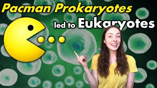 Evolution of Eukaryotes How amp Why Endosymbiosis Occurred amp When First Eukaryotes Evolved  GEO GIRL [upl. by Monika]