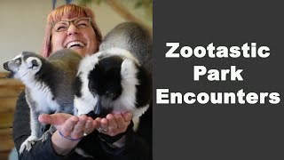 Zootastic Park Encounters [upl. by Gaul]