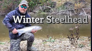 Winter Steelhead Fishing 2023 Ontario Canada 🇨🇦 [upl. by Pavlov]