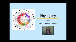 Phylogeny Part 2 [upl. by Pepper]