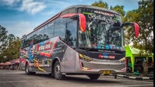 Bus Berlian Jaya Livery Burung Merak Di Kota Cikarang [upl. by Alleram]