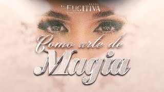 Como Arte De Magia VIDEO OFICIAL  La Fugitiva De Mike Miramontes [upl. by Ayotas]