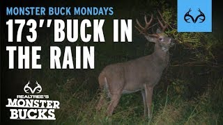 Hunting In The Rain  Giant Whitetail Buck  Monster Bucks Mondays [upl. by Kania]