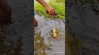 Amazing Bottle Hook Fishing 🤩 A Boy Catch Fish With plastic bottle hook trap Shorts fishing [upl. by Mllly]