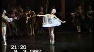 GStepanenko in The Swan Lake [upl. by Ahcatan909]