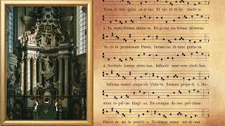 Veni Creator Spiritus  Catholic Gregorian Latin Chant Lyrics [upl. by Cestar]