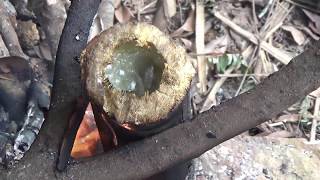 Primitive LifePrimitive Technology UsedBoiled Water With Herbs [upl. by Starbuck]