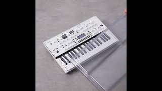 The Decksaver cover for the KORG KingKORG Neo [upl. by Nylirrej]