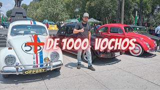 Caravana de Vochos en Toluca 2024Se reunierón más de 1000 vochosIncreible ver tantos autos [upl. by Bern]