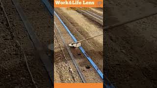 A farmer uses a weed trimmer with a spinning cone attachment to create planting holes in the soil [upl. by Branca436]