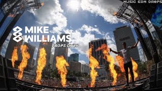 Mike Williams Ultra Miami 2018  Drops Only [upl. by Lorelie]