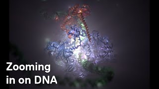 ICR Researchers use CryoElectron Microscopy to zoom in on DNA code being read in cells [upl. by Aihsaei]