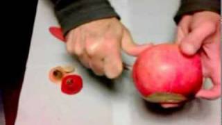 How to peel a pomegranate without loosing juice [upl. by Nithsa]