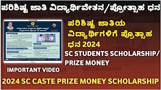 prize money scholarship for sc st students 2024  prize money scholarship 2024  prize money 2024 [upl. by Atlee736]