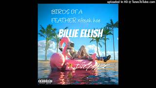 billie ellish birds of a feather freak hoe [upl. by Etram]