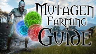 Mutagenerator Farming Guide  The Witcher 3 [upl. by Arvid]