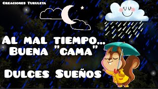 Dulces Sueños 🌛 Al mal tiempo buena quotcamaquot 😃 Gif de buenas noches para WhatsApp ✨👌🏻 [upl. by Aisan]