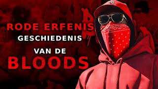 Rode Erfenis Geschiedenis van de Bloods 🅱️ [upl. by Cassell]