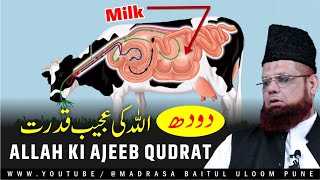 दूध MILK अल्लाह की अजीब क़ुदरत  Must Watch Clip  Mufti Shakir Khan Pune [upl. by Hgielrak]