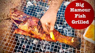 Big Hamour Fish GrilledFish TikkaOutdoor Cooking noorskitchen [upl. by Miarfe]