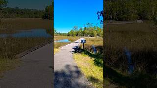 Palmetto Islands County Park Must Visit palmetto park [upl. by Wheelwright]