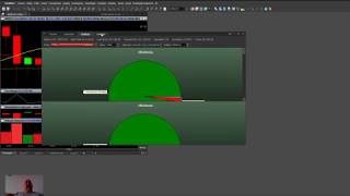 Como configurar o ProfitChart Pro para MIni Indice ou Mini Dolar BMF [upl. by Rickey]