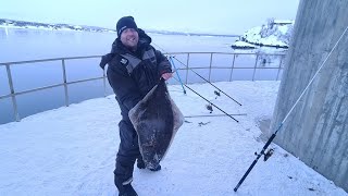 Norway halibut fishing [upl. by Tteragram878]