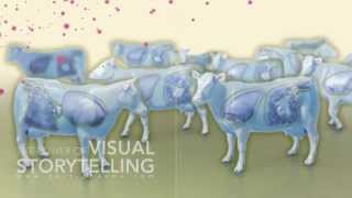 Bovine Viral Diarrhea Mode of Action Animation [upl. by Grunenwald574]