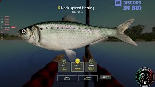 Akhtuba River spot Trophy Black Spined Herring  42  Russian Fishing 4  RF4 [upl. by Marisa]