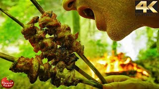 THIS IS SO BEAUTIFUL  Yakitori Chicken 4K [upl. by Hooge393]