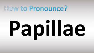 How to Pronounce Papillae [upl. by Mandle891]