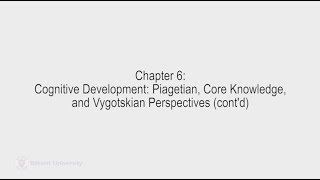 Developmental Psychology  Lecture 13 PSYC 240 [upl. by Eem]