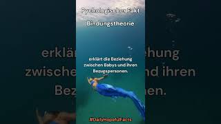 Bindungstheorie shorts short shortvideo shortsfeed [upl. by Enimisaj]